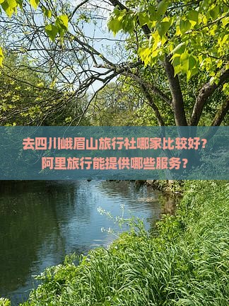 去四川峨眉山旅行社哪家比较好？阿里旅行能提供哪些服务？
