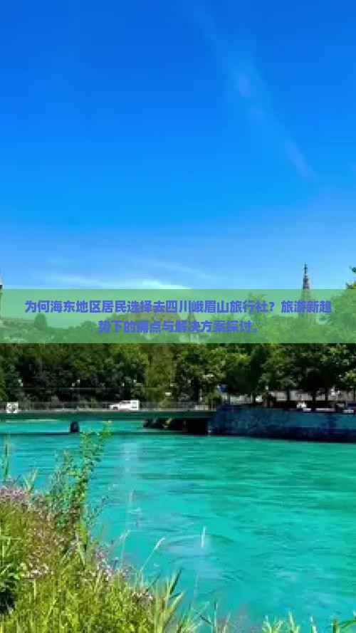 为何海东地区居民选择去四川峨眉山旅行社？旅游新趋势下的痛点与解决方案探讨。