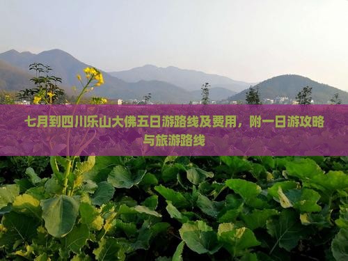 七月到四川乐山大佛五日游路线及费用，附一日游攻略与旅游路线