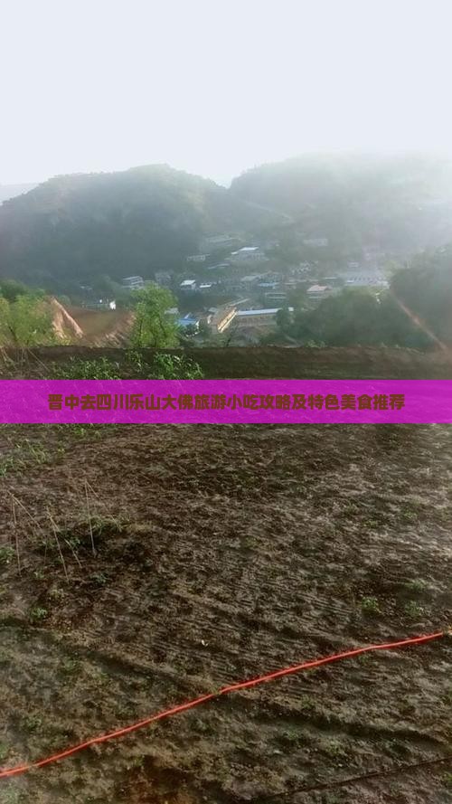 晋中去四川乐山大佛旅游小吃攻略及特色美食推荐