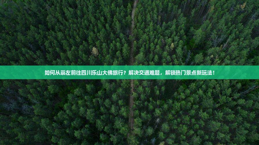 如何从崇左前往四川乐山大佛旅行？解决交通难题，解锁热门景点新玩法！