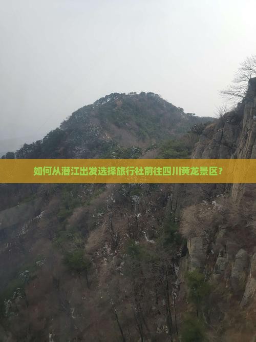 如何从潜江出发选择旅行社前往四川黄龙景区？