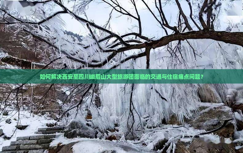 如何解决西安至四川峨眉山大型旅游团面临的交通与住宿痛点问题？