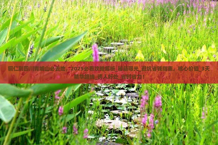 铜仁到四川青城山必去地