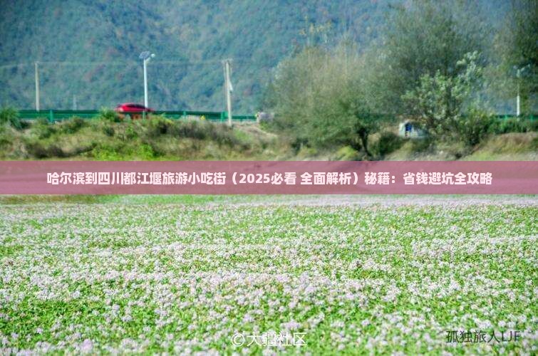 哈尔滨到四川都江堰旅游小吃