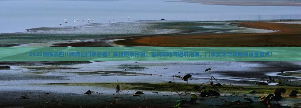 清徐去四川青城山门票 清徐去四川青城山门票