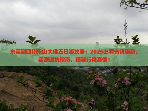 东莞到四川乐山大佛五日游