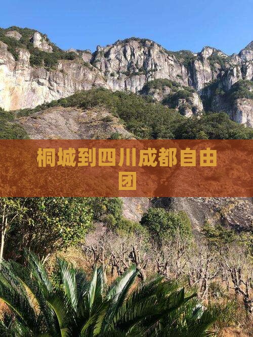 桐城到四川成都自由团