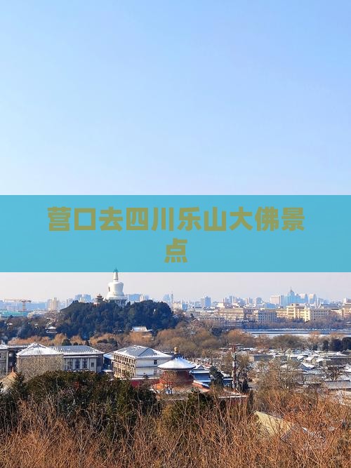 营口去四川乐山大佛景点