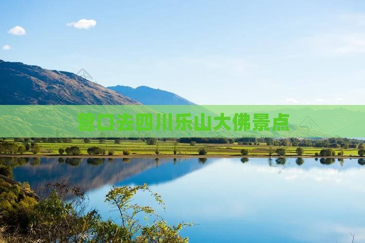 营口去四川乐山大佛景点