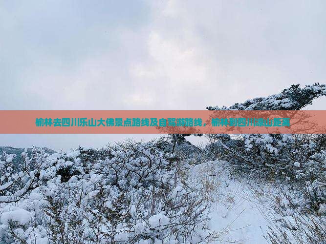 榆林去四川乐山大佛景点