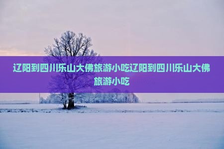 辽阳到四川乐山大佛旅游小吃