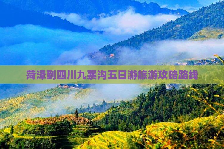 菏泽到四川九寨沟五日游