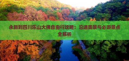 永新到四川乐山大佛自由行