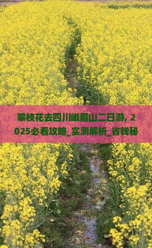 攀枝花去四川峨眉山二日游