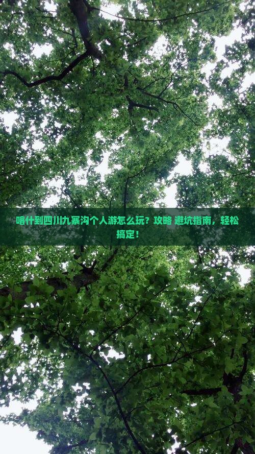 喀什到四川九寨沟个人游
