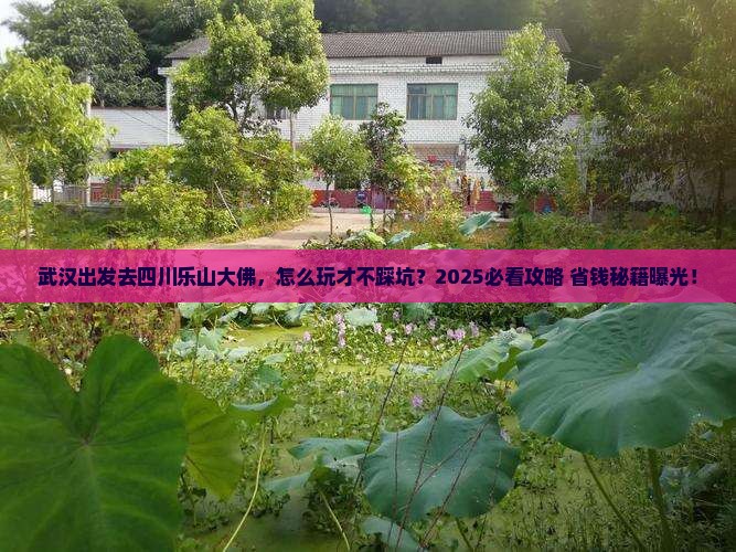 武汉去四川乐山大佛哪里玩