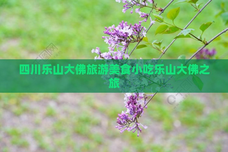 乌鲁木齐去四川乐山大佛旅游小吃 乌鲁木齐去四川乐山大佛旅游小吃