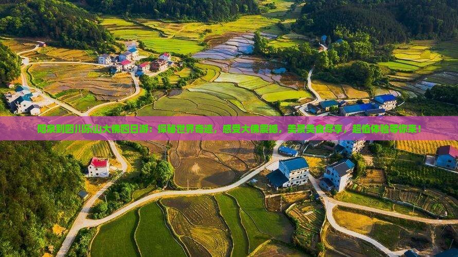 阳泉到四川乐山大佛四日游