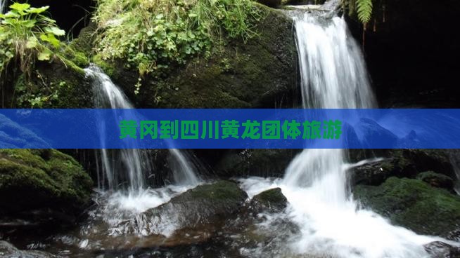 黄冈到四川黄龙团体旅游