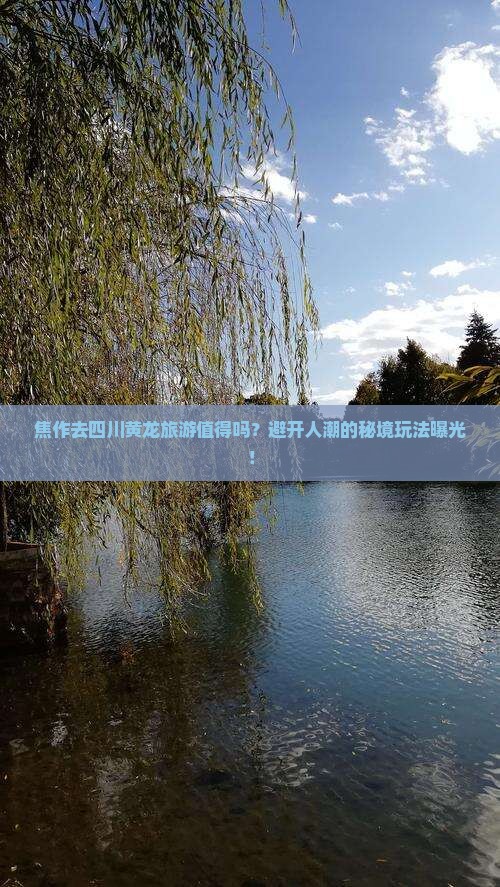 焦作去四川黄龙旅游