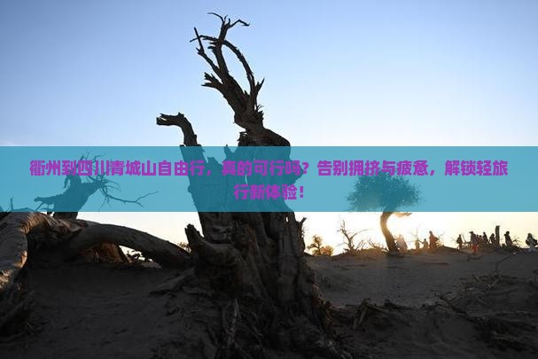 衢州到四川青城山自由行