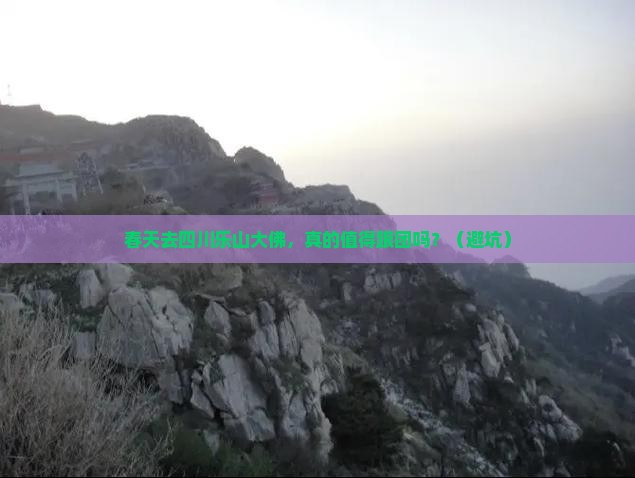 春天去四川乐山大佛大型旅游团