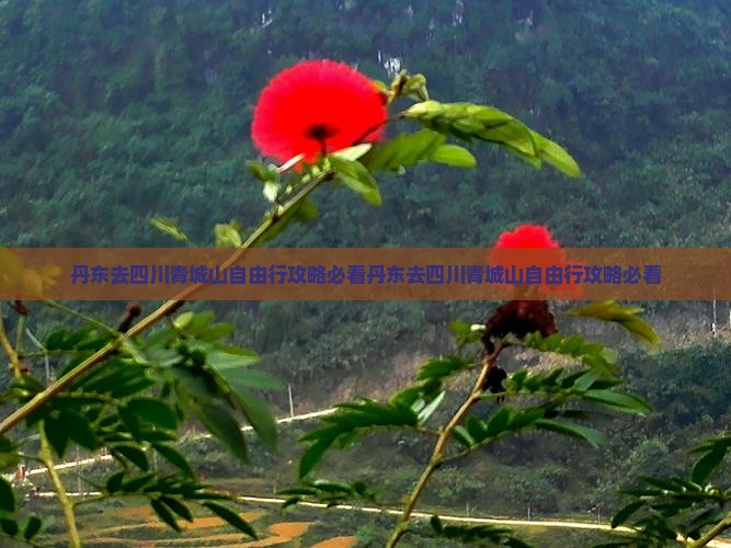 丹东去四川青城山自由行