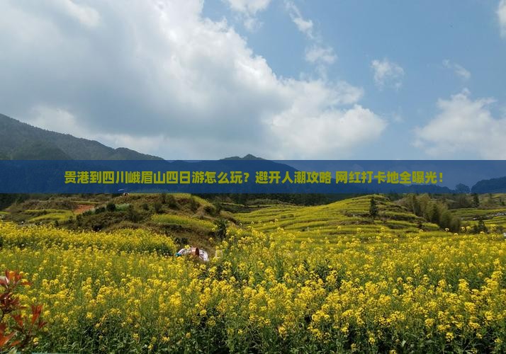 贵港到四川峨眉山四日游