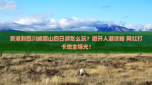 贵港到四川峨眉山四日游