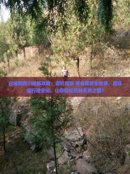 白城到四川成都攻略