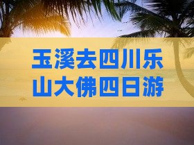 玉溪去四川乐山大佛四日游