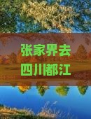 张家界去四川都江堰景点