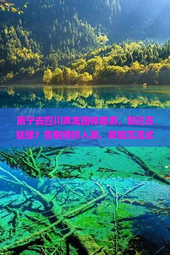 南宁去四川黄龙团体旅游