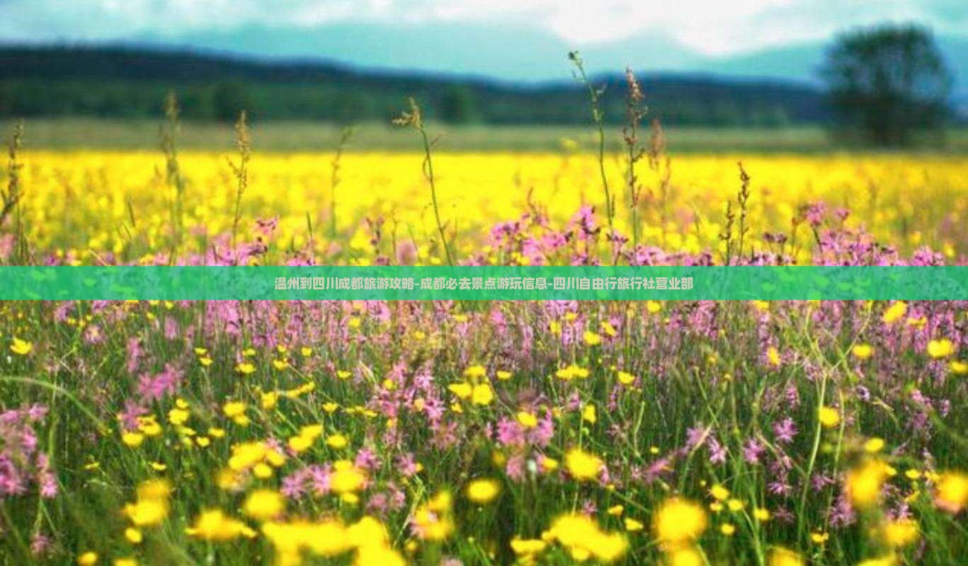 温州到四川成都旅游攻略-成都必去景点游玩信息-四川自由行旅行社营业部