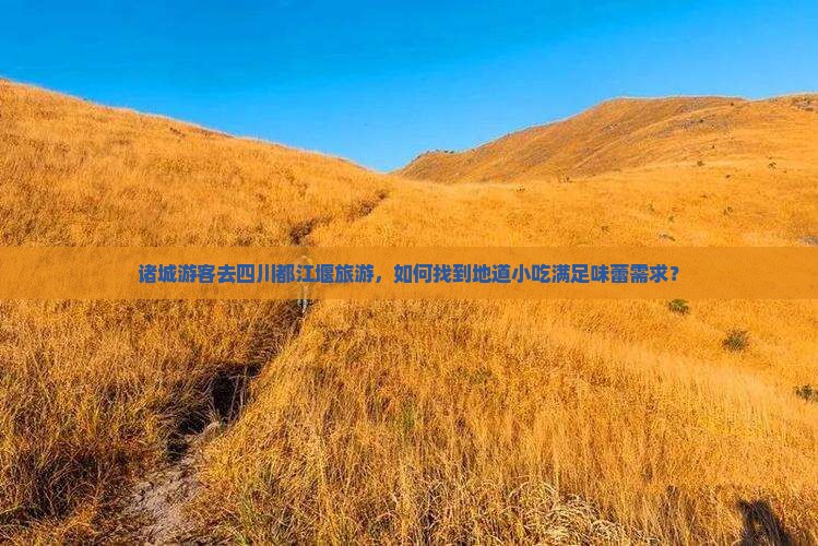 诸城游客去四川都江堰旅游，如何找到地道小吃满足味蕾需求？