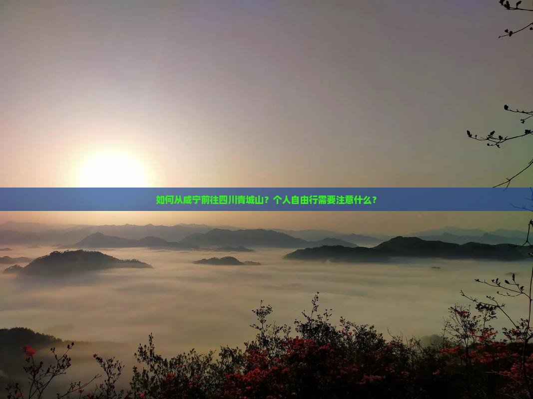 如何从咸宁前往四川青城山？个人自由行需要注意什么？