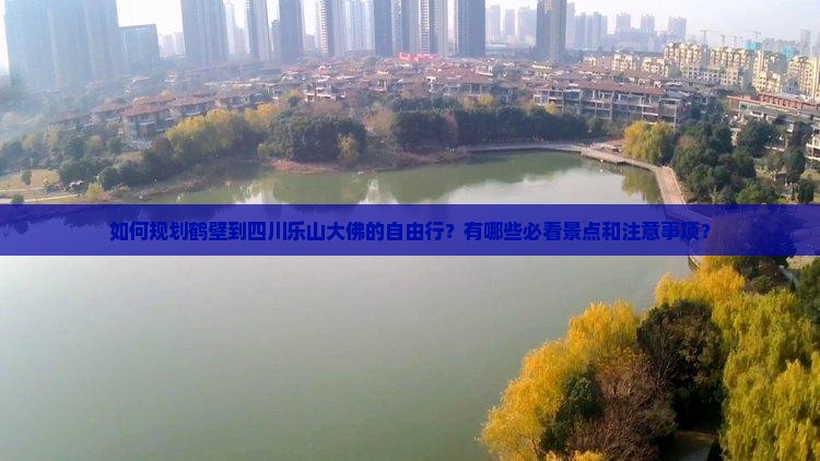 如何规划鹤壁到四川乐山大佛的自由行？有哪些必看景点和注意事项？