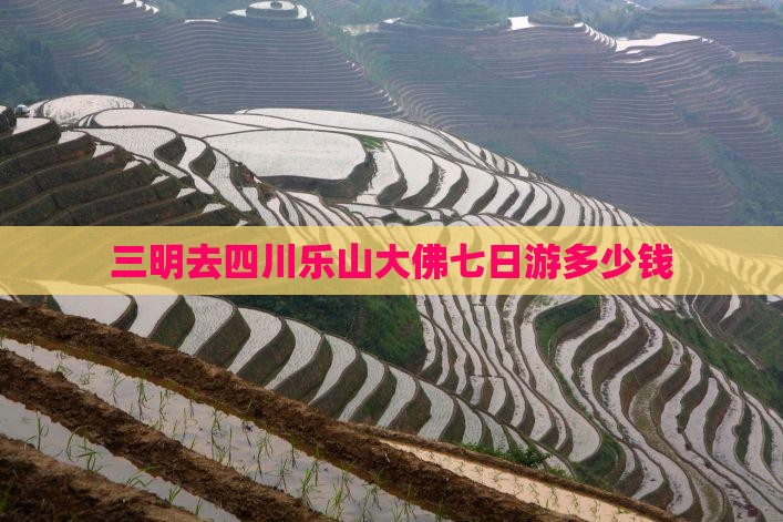 三明去四川乐山大佛七日游多少钱