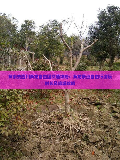 黄南去四川黄龙自由团交通攻略：黄龙景点自由行游玩时长及旅游攻略