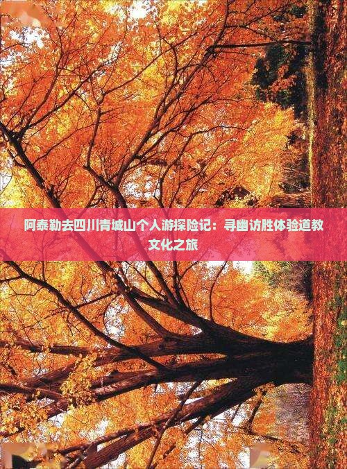 阿泰勒去四川青城山个人游探险记：寻幽访胜体验道教文化之旅
