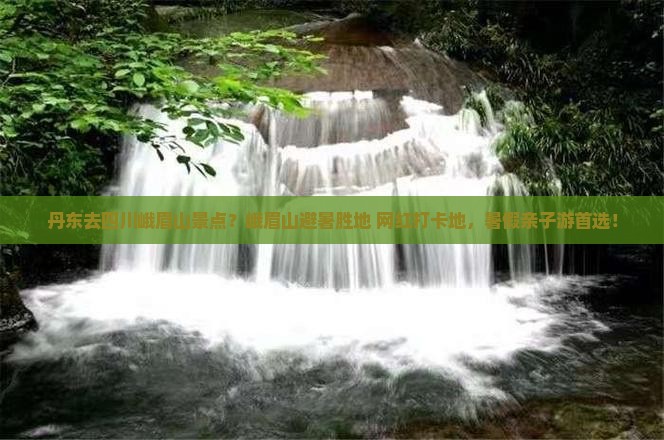 丹东去四川峨眉山景点？峨眉山避暑胜地+网红打卡地，暑假亲子游首选！