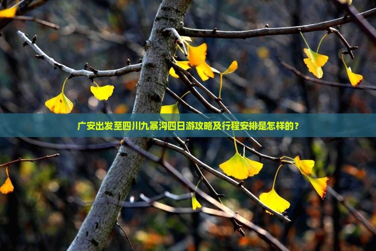 广安出发至四川九寨沟四日游攻略及行程安排是怎样的？