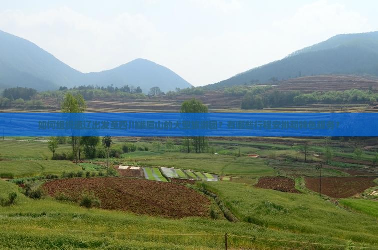 如何组织通辽出发至四川峨眉山的大型旅游团？有哪些行程安排和特色服务？