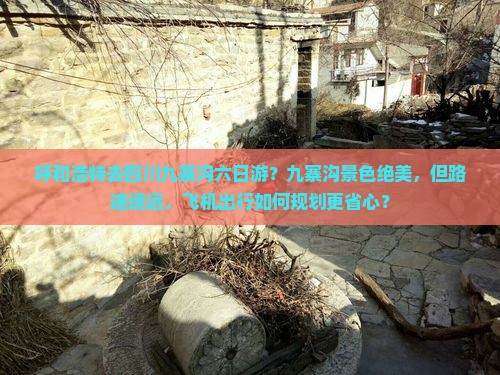 呼和浩特去四川九寨沟六日游？九寨沟景色绝美，但路途遥远，飞机出行如何规划更省心？