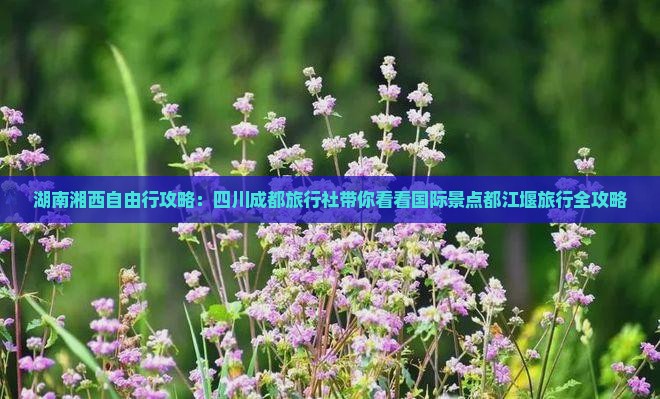 湖南湘西自由行攻略：四川成都旅行社带你看看国际景点都江堰旅行全攻略