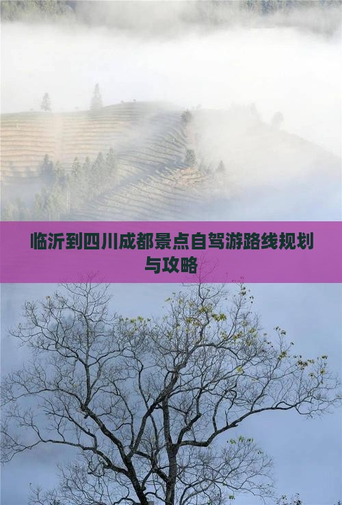 临沂到四川成都景点自驾游路线规划与攻略
