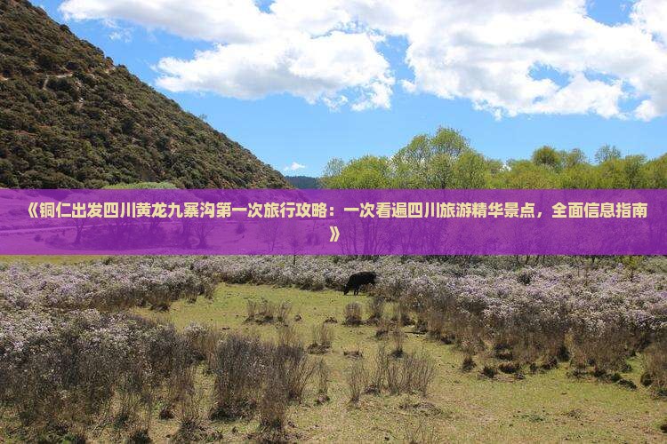 《铜仁出发四川黄龙九寨沟第一次旅行攻略：一次看遍四川旅游精华景点，全面信息指南》