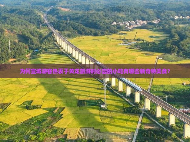 为何宣城游客热衷于黄龙旅游时必尝的小吃有哪些新奇特美食？