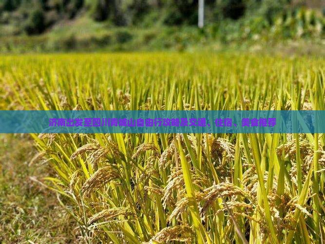 济南出发至四川青城山自由行攻略及交通、住宿、美食推荐